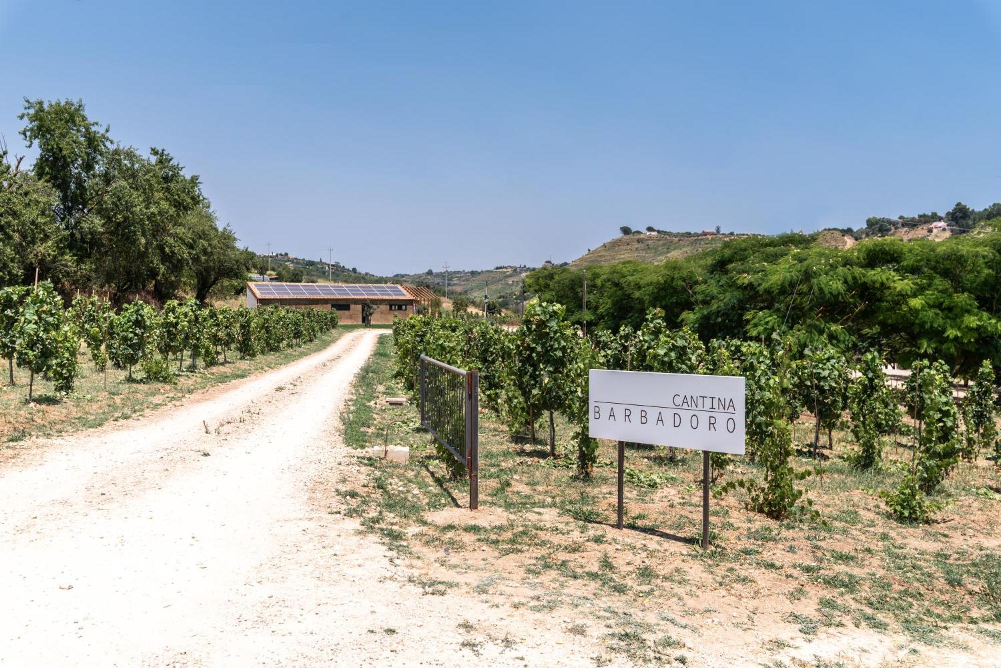 Immerso Nel Vigneto Caltagirone