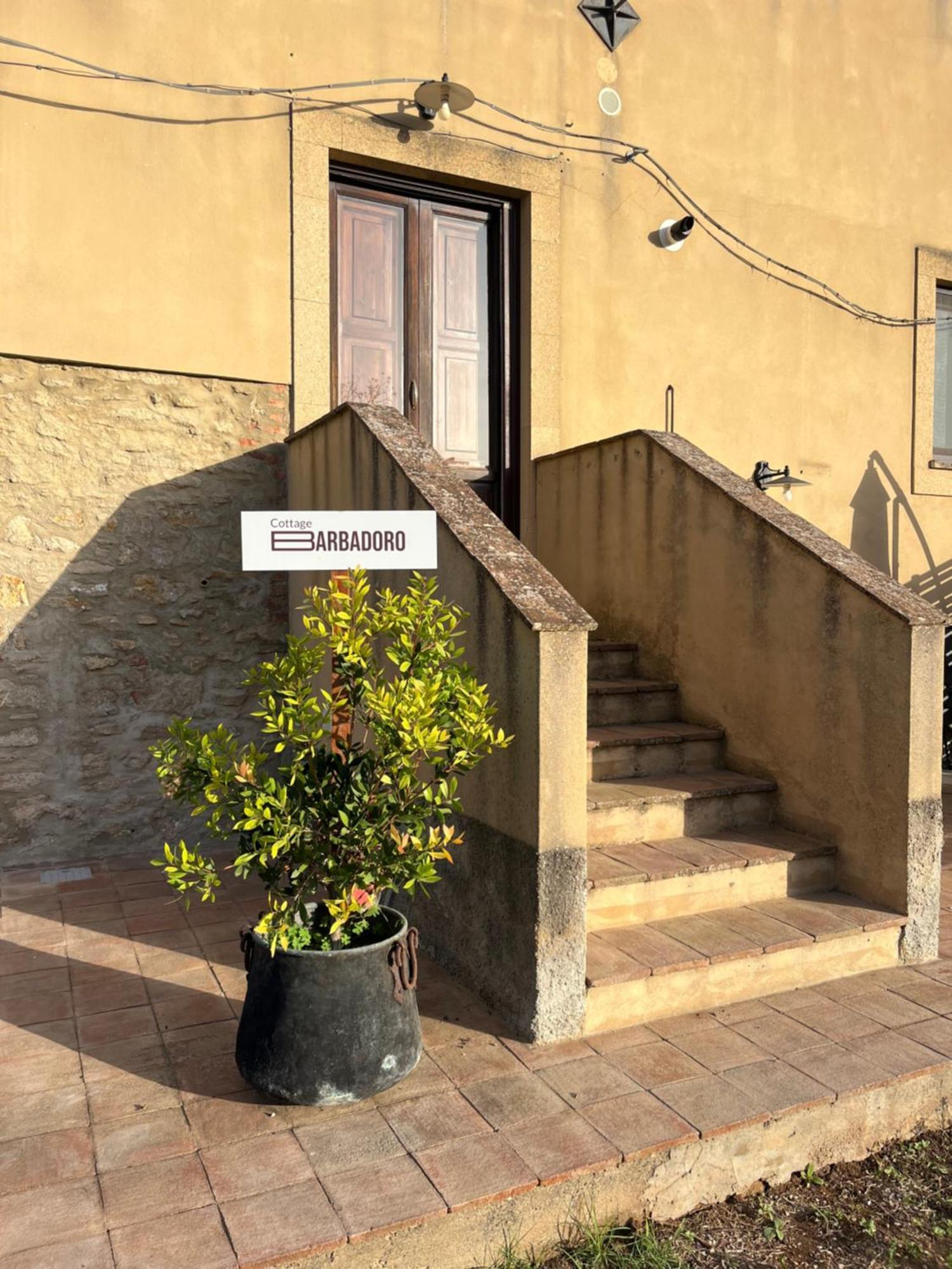 Immerso Nel Vigneto Holiday home Caltagirone