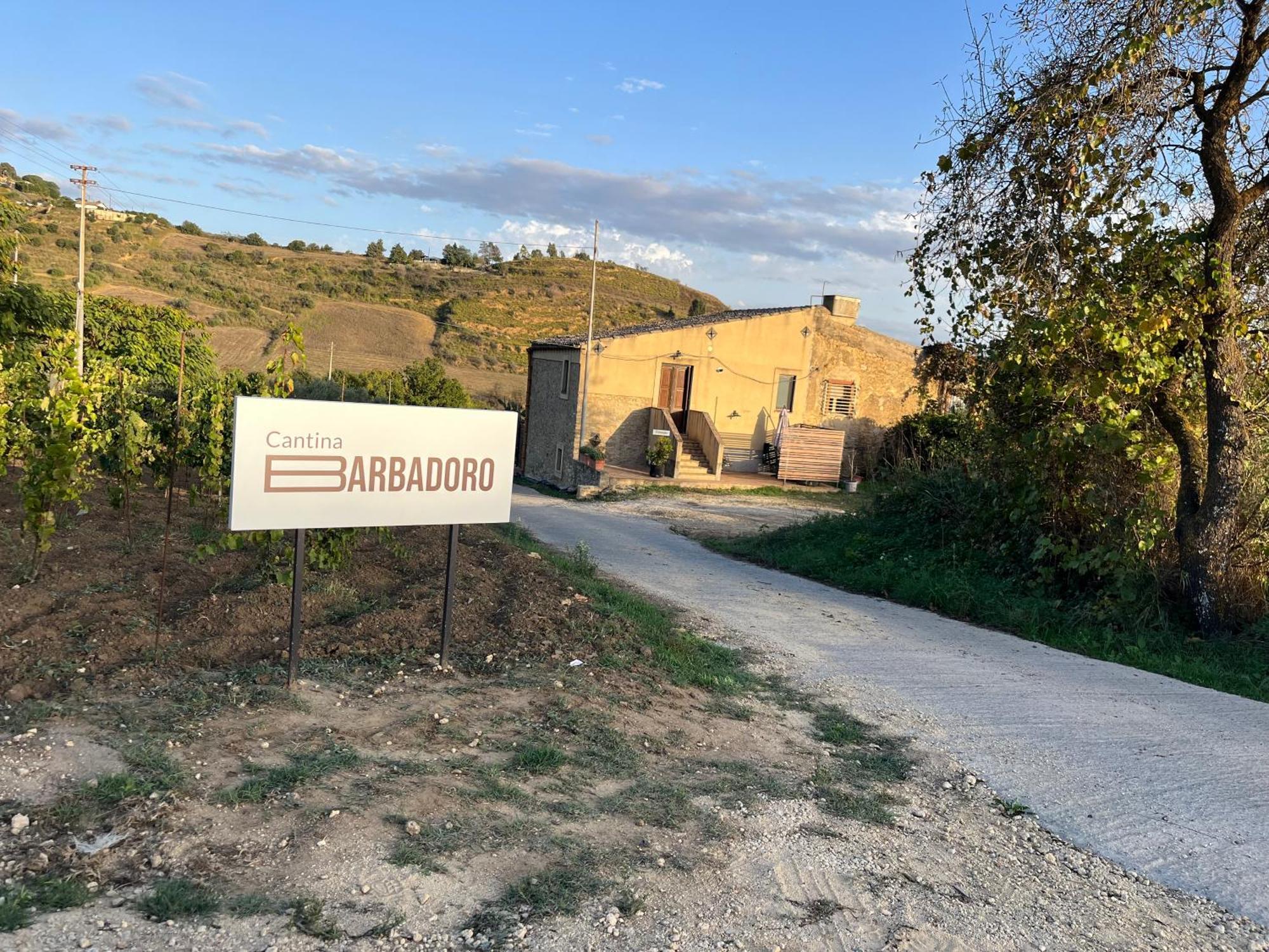 Immerso Nel Vigneto Holiday home Caltagirone